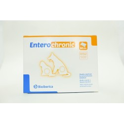 Entero chronic 60 sobres